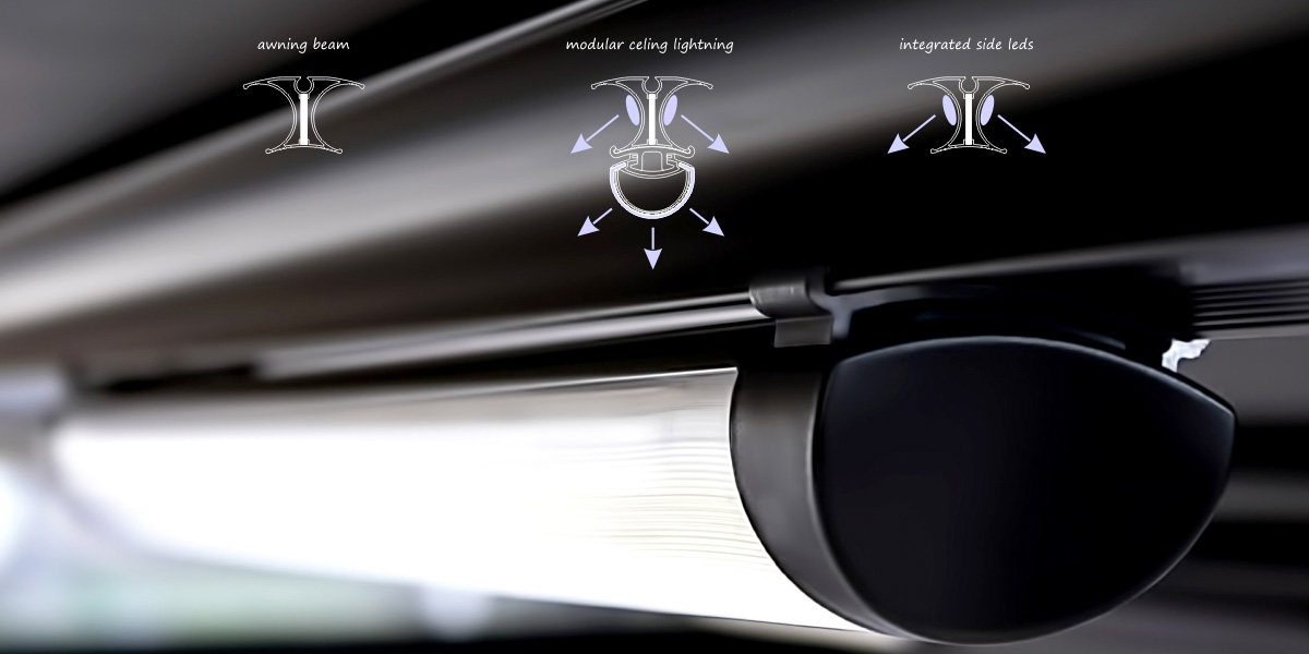 EVERGREEN  Linear Light