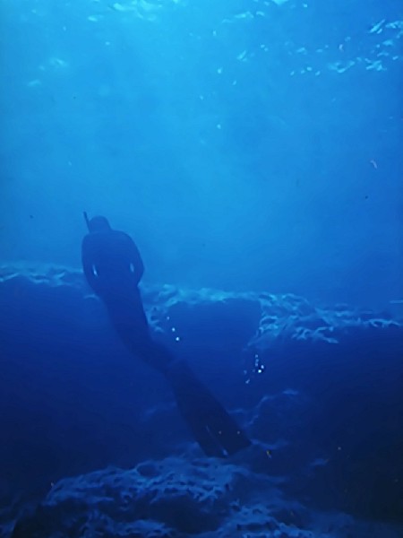 ABYSS  Freediver